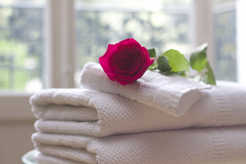 hotel-CARROS-min_towel_rose_clean_care_salon_spa_white_bath-731641